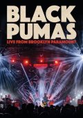 Black Pumas - Live from Brooklyn Paramount (2024) [Flac 24-48]