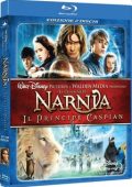 img Le cronache di Narnia - Il principe Caspian (2008) .mkv Bluray 1080p x264 AC3 iTA