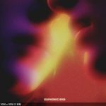 img Paleskin - Euphoric End (2025)
