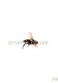 PreCog - Other Side (2025)