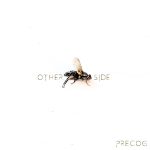 img PreCog - Other Side (2025)