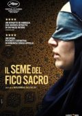 img Il seme del fico sacro [HD] (2024) Streaming + Download