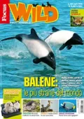 Focus Wild - Luglio 2025 [True PDF]