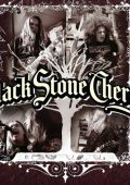 Black Stone Cherry - Compilation (2003-2025) [MP3|320 Kbps]