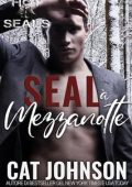 Cat Johnson - Hot SEALs Vol. 3. SEAL a Mezzanotte (2025)