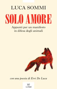 Luca Sommi – Solo amore (2025)