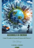 Aurora Amoris - Accumulo di energia. Come prenderà forma il futuro del potere? (2025)