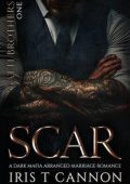 Iris T Cannon - Fratelli Gatti Vol. 1. Scar. Giuramento di Sangue (2025)