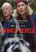 img L’amico fedele [HD] (2024) Streaming + Download