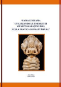 Fabio milioni - Yama e Niyama utilizzando le energie di viparītakaraṇīmudrā nella pratica di antar mauna (2019)