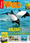 img Focus Wild - 24 Giugno 2025 [True PDF]