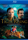 img La rinascita della Tigre (2022) 1080p X264 AC3 ITA