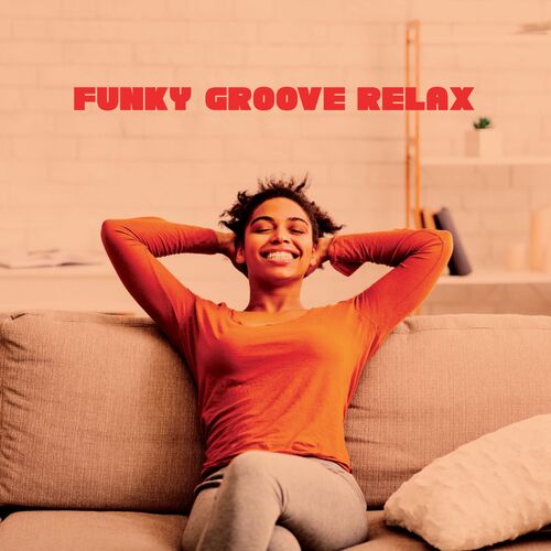 VA – Funky Groove Relax (2025) MP3/FLAC