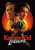 img Karate Kid: Legends (2025) .mkv 1080p WEB-DL DDP 5.1 iTA ENG H264