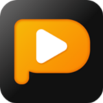 img PPTube Pro v11.1.1 x64 - ITA