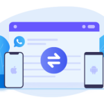 img Syncios WhatsApp Transfer v2.4.6 - ITA