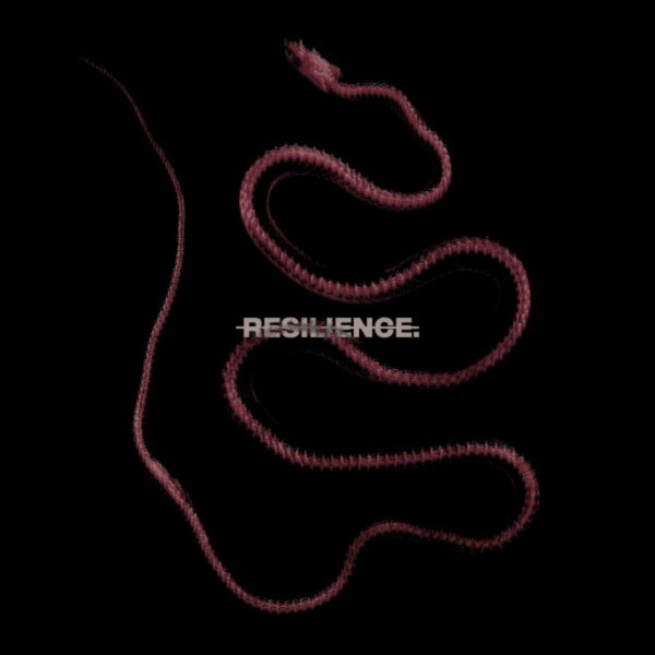 THROATCUT. – Resilience. (2025)