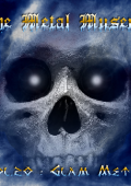 The Metal Museum Vol.20 (2006)