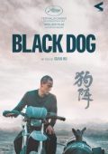 img Black Dog (2024) Streaming + Download