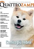 img QuattroZampe - Luglio 2025 [True PDF]