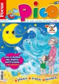 img Focus Pico - 8 Luglio 2025
