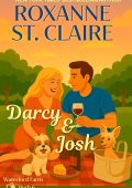 Roxanne St. Claire - Waterford Farm Vol. 6. Darcy & Josh (2025)