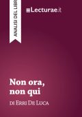 Tommaso Rossi - Non ora, non qui, di Erri De Luca. Analisi del libro (2025)