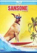 img Sansone (2010) 1080p X264 AC3 ITA