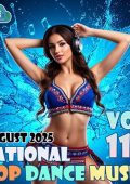 VA - National Pop Dance Music Vol. 117 (2025) MP3