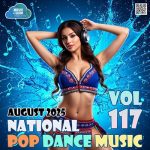 img VA - National Pop Dance Music Vol. 117 (2025) MP3