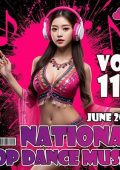 VA - National Pop Dance Music Vol. 115 (2025) MP3