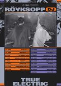 Röyksopp - True Electric (2025) 2CD FLAC
