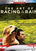 img Attraverso I Miei Occhi (2019) .mkv iTA-ENG Bluray 1080p x264