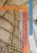 Tommaso Raucci - appunti sul CONSOLIDAMENTO di EDIFICI ESISTENTI in MURATURA vol. I utile per Concorsi Pubblici, Esami Universitari, corredato da Storia, Teoria ed Esempi (2025)