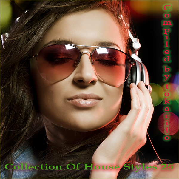 VA – Collection Of House Styles 25 (2025) MP3