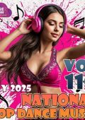 VA - National Pop Dance Music Vol. 110 (2025) MP3