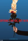 As December Falls - Everything's On Fire But I'm Fine (2025)