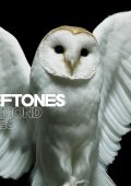 Deftones - Diamond Eyes (Deluxe Version) (2010)