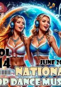 VA - National Pop Dance Music Vol. 114 (2025) MP3