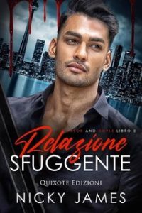 Nicky James – Valor and Doyle Serie Vol. 2. Relazione sfuggente (2024)