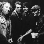 img The Wildhearts - Collection (9 Releases) (1994-2019) FLAC