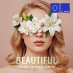 img VA - Beautiful Classical Instrumental Music (2025) FLAC
