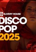 Disco Pop 2025 (Original Mix) (2025) .mp3 - 320 kbps