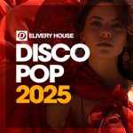 img Disco Pop 2025 (Original Mix) (2025) .mp3 - 320 kbps