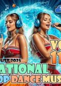 VA - National Pop Dance Music Vol. 119 (2025) MP3