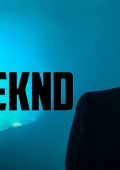 The Weeknd - The Weeknd Collection (2025) [MP3 320/Flac 16-44]