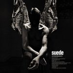 img Suede - Antidepressants (2025) .mp3 - 320 kbps / FLAC (24bit-48kHz)