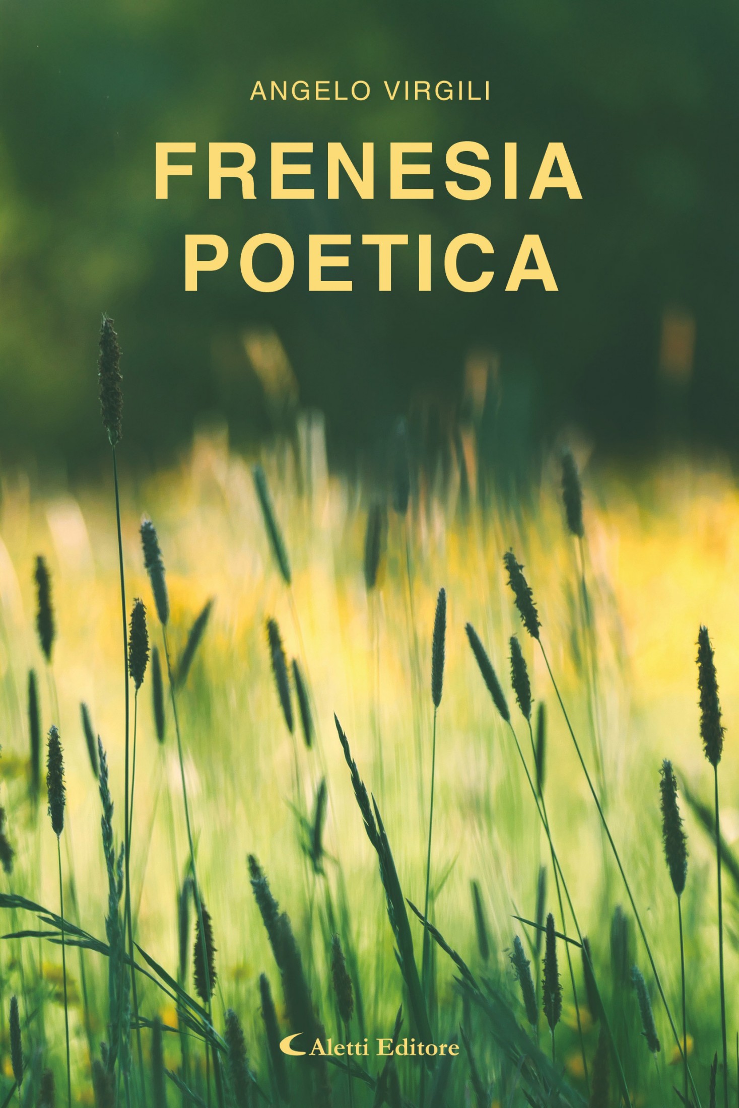 Angelo Virgili – Frenesia poetica (2025)
