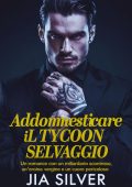 Jia Silver - Accordi Selvaggi Vol. 4. Addomesticare il Tycoon Selvaggio (2025)