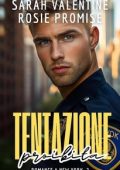Sarah Valentine - Romance a New York Vol. 2. Tentazione proibita (2025)